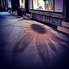 Cvet na asfaltu #flower #sidewalk #shopwindow #night