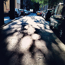 Senke krošnje na asfaltu #shadow #street